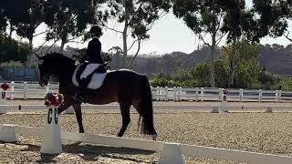 2024 HITS Del Mar Dressage Fall II: USDF Level A