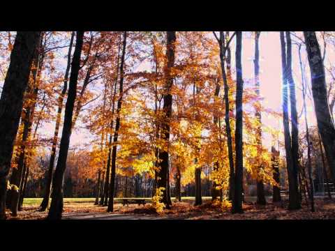 Road To You - Five For Fighting lyrics
