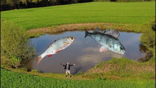 Going to FISH the UNKNOWN POND in MIDDLE OF A FIELD!
