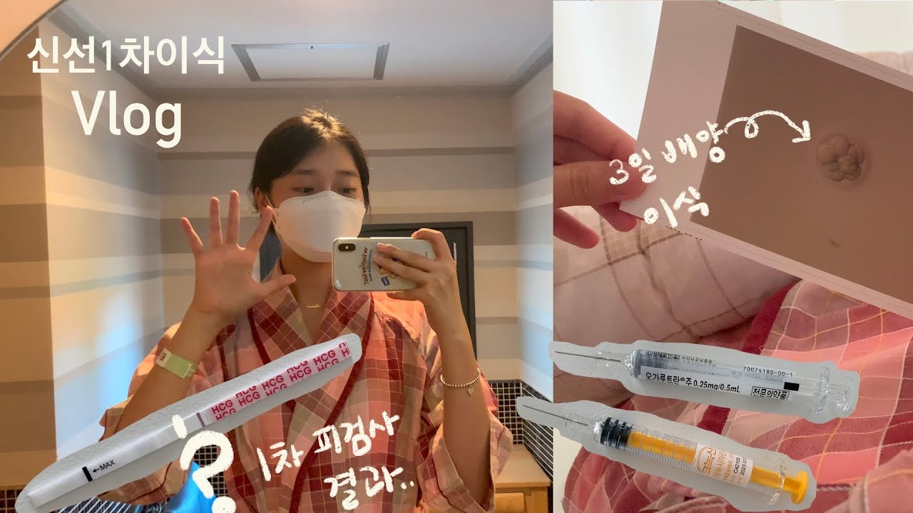 시험관 vlog I  못할줄 알았던 신선1차이식🔥, 그리고 1차 피검사 수치 결과,,(ft.상급 3일배양 1개 이식)