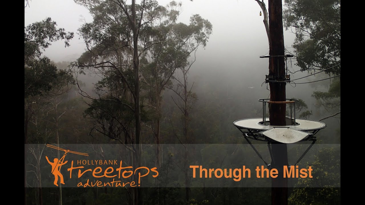 Ziplining Through The Mist at Hollybank Treetops Adventure - YouTube
