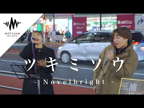 【貴重映像】数えきれないほどの人が聞き惚れた歌うま2人組の歌声が最高すぎた!! ツキミソウ / Novelbright （Covered By 三浦風雅 & 一華ひかり）