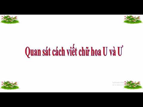 Tập viết lớp 2 Chữ hoa U, Ư tuần 24