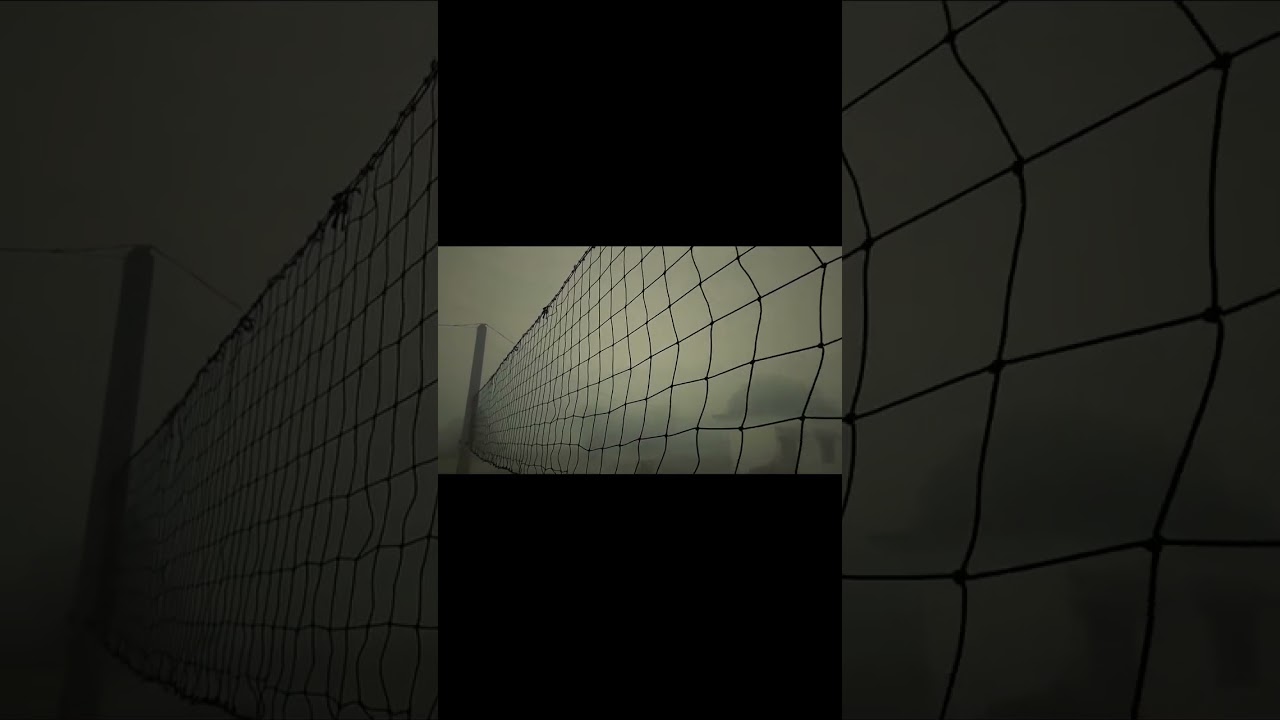 My home grund 💯 volleyball lover🏐 