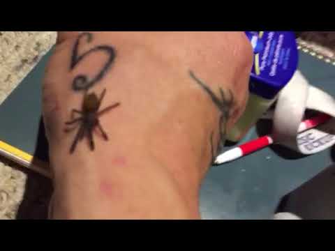 camera iphone 8 plus apk OBT Tarantula Sling
