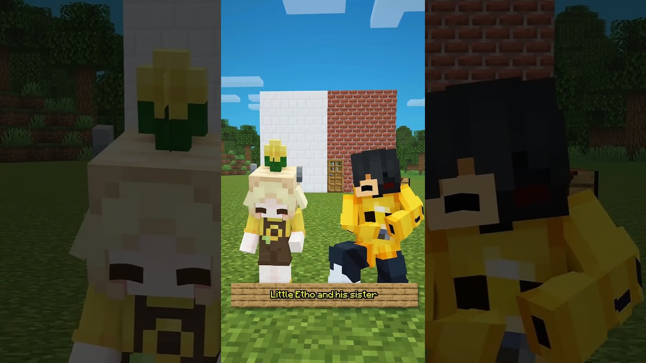 Redecorating Little Etho’s house In Minecraft