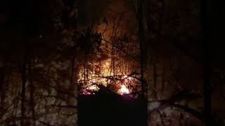 Burning Cedar Slash under the right conditions
