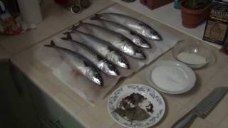 видео: Тестируем коптильню Дым Дымыч .Копчение скумбрии (холодное копчение) картинка: Тестируем коптильню Дым Дымыч .Копчение скумбрии (холодное копчение)