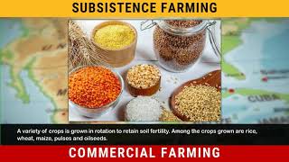 Types of Farming - Subsistence and Commercial Farming | Geography Class 8