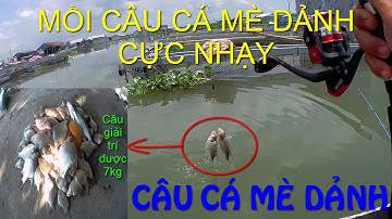 🦐Fishing 34🐟Mồi Câu Cá Mè Dảnh Cực Nhạy Câu Đã Luôn🐟