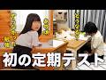 【中学生の壁】勉強の遅れが深刻…親子で挑む初の定期テスト前猛特訓！元不登校の勉強習慣