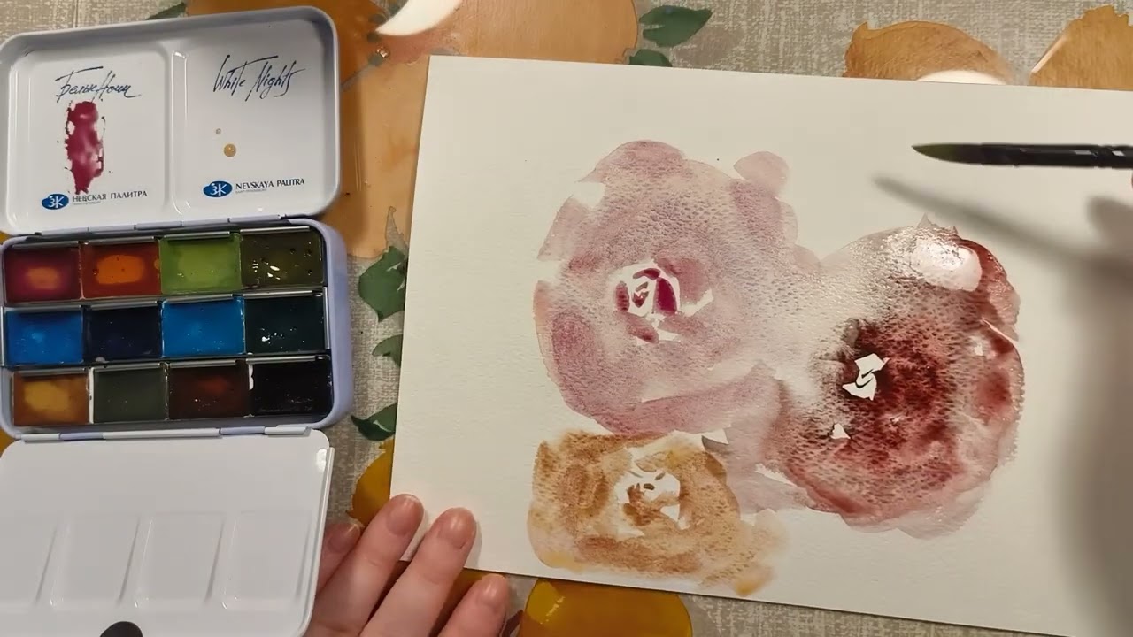 Testing the new set of White Nights Metamorphosis watercolour 