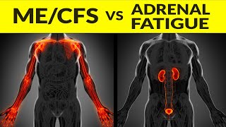 Chronic Fatigue Syndrome vs Adrenal Fatigue: Differences In Diagnosis, Symptoms & Treatment