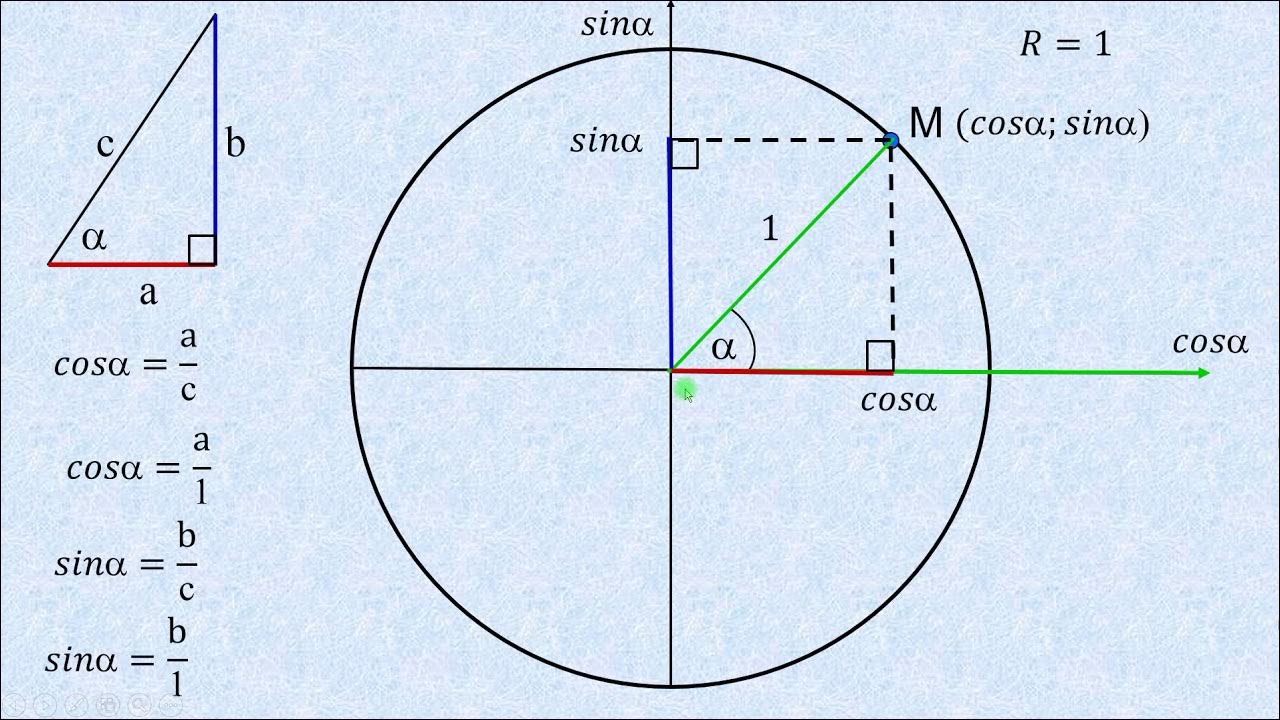 Синус альфа окружность. Окружность Алгебра 10 класс синус косинус. Тригонометрический круг синус. Числовой круг 10 класс синус косинус. Круг синусов и косинусов 10 класс.