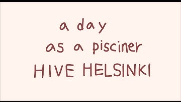 A Day as a Pisciner at Hive Helsinki