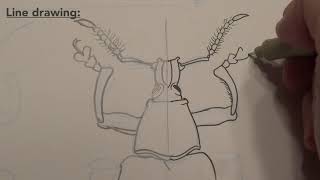 Media Exercise - quick demo