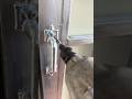 Welding ✅ Screw the door handle. #welding #shortvideo #construction #tools