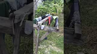 Tanah Paka Luas 7 Panjang 20 santet funny makamkramat makamkuno