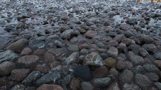 Ultra Dynamic Sky and MegaScans | Rain Snow Weather system