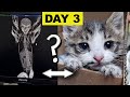 Our Kitten Is An Alien ?? Day 3