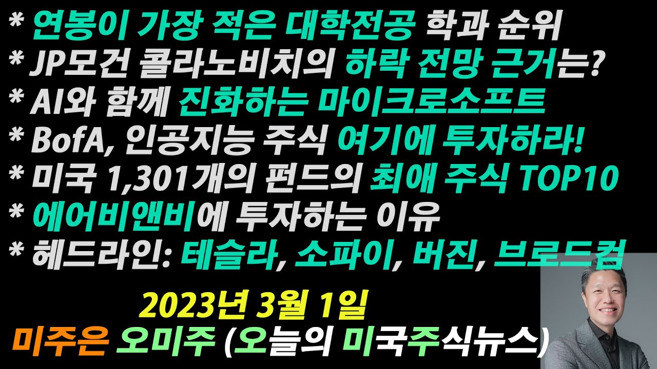 [오늘의 미국주식뉴스] AI 주식 이 종목들에 투자하라 / 헤지펀드 & 뮤츄얼펀드 폴트폴리오 분석 / JP모건 미국증시 하락 전망 /  마이크로소프트의 진화 / 에어비앤비 주식전망