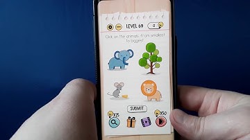 Brain Test Click on the animals from smallest to biggest