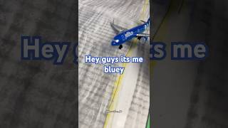 Bluey! #aviation #comedy #modelplanes #memes #jetblue