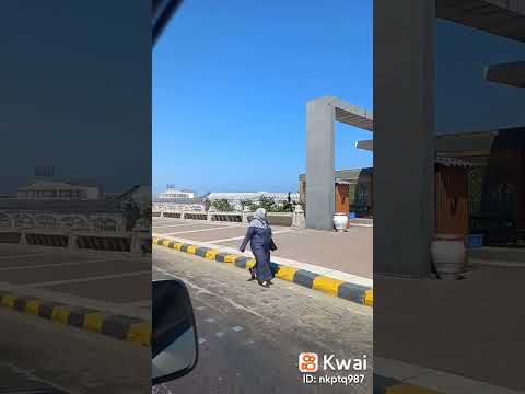 اسكندراني وبقول ايوه