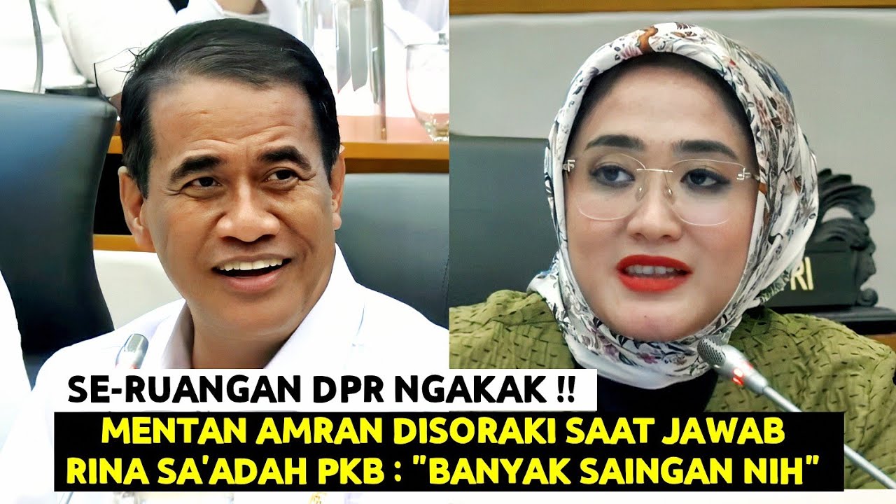 Ngakak Se-Ruangan DPR, Mentan Amran Disoraki Saat Jawab Rina Sa'adah PKB : 