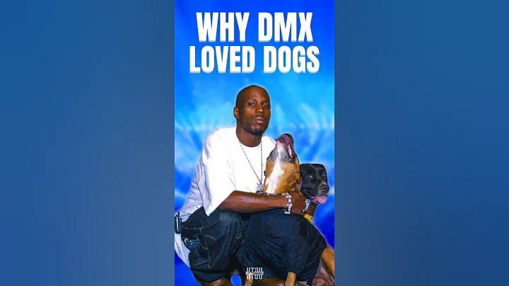 Why DMX Loves Dogs 🐕 #dmx #dogs