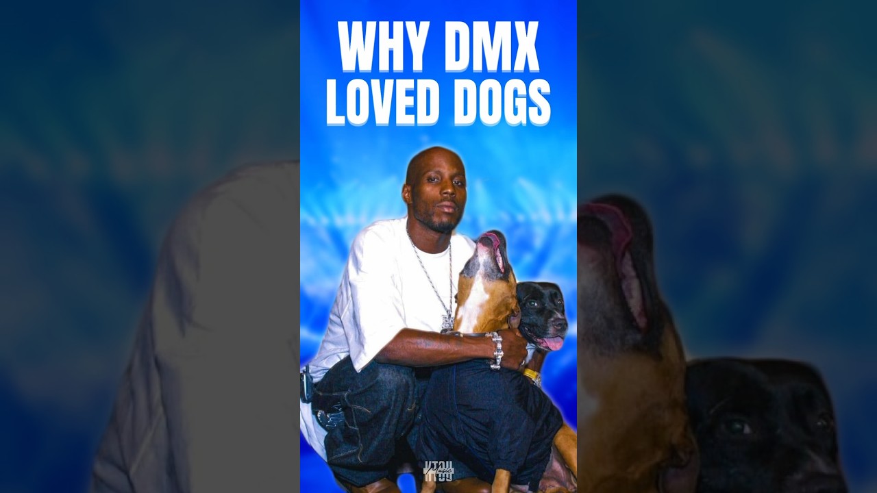 dmx dog by JJLG (Streak 0) - Streak Club, image size:1280x720