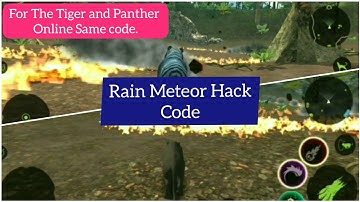 Rain Meteor Hack Code for Panther Online and The Tiger.