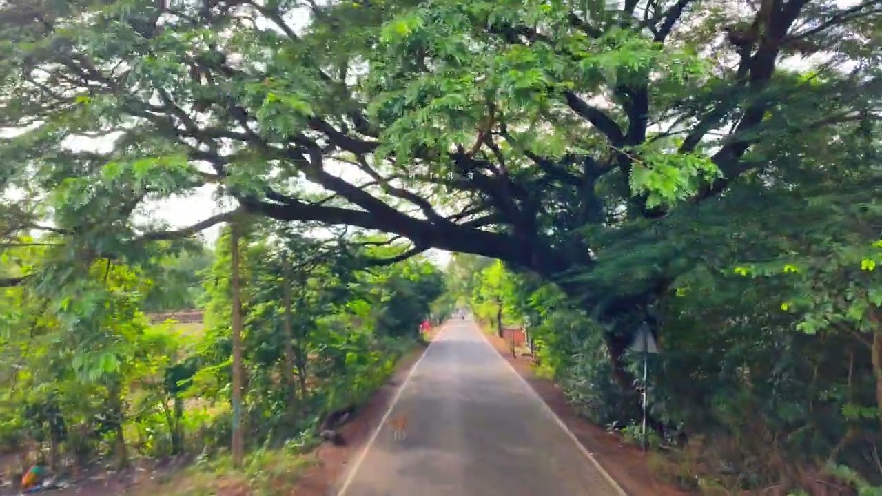 নতুন ভিডিও নিয়ে এলাম ঝাড়গ্ৰাম রোড ব্লগ ভিডিও...🌳🌳!