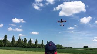 Carf Extra 330L 3D flight