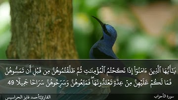 الصفحة 424 سورة الأحزاب القارئ المهندس أحمد فايز الحراسيس