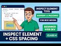 Inspect Element Tool + CSS Margin & Padding Explained (Hindi/Urdu) | Web Dev Class 4