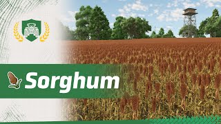 [Tutorial] How to Sow & Harvest SORGHUM | Farming Simulator Academy screenshot 4
