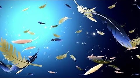 Feathers Float Stock Motion Graphics