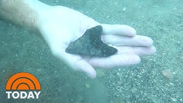 Newly Discovered Fossils Reveal Details About Megalodons