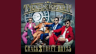 Falsche Band - Trailerpark
