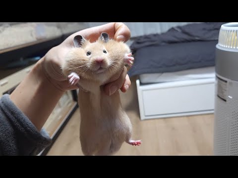 달랑달랑 한별이 무편집본