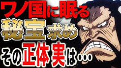 ワンピース つぐみの研究委員会 Youtube