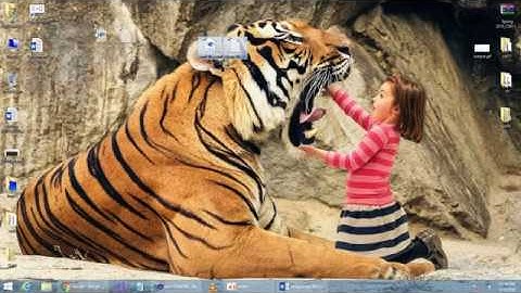 CS411 Assignment 2 Complete Solution Part 2 of 2 due date 22-05-2018