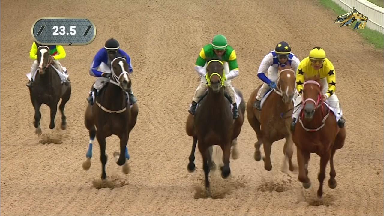 Конный мир прямой эфир скачки. Конный мир логотип. Конный мир тв. Конный мир. Конный мир.