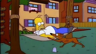 Que pasa amigo? Fuego? Terremoto? Hippies? Los Simpson-