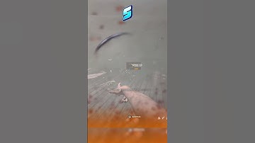 the BUFFED KV BROADSIDE Shotgun is so BROKEN🤯 Class at End