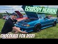 CHOCOLATE FOX ALL FOXBODY CAR SHOW! // FOXTOBERFEST IN THE NORTH  IN HERSHEY - 2021