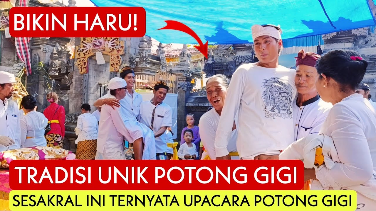 BIKIN HARU! SESAKRAL INI TERNYATA TRADISI POTONG GIGI UMAT HINDU! LANGSUNG DIPIMPIN DARI PULAU BALI!