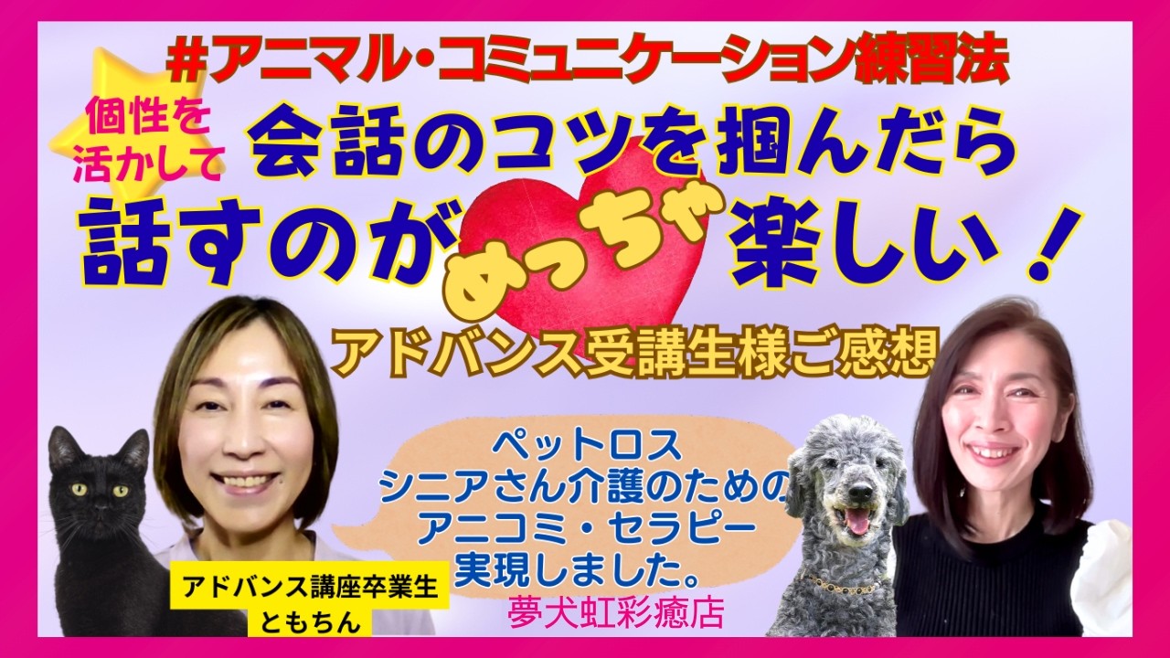 ＃アニマルコミュニケーション練習法 【”質問力”UPで、飼い主さまの気持ちに沿った質問にしたら、動物さんとの会話の質が変わった❤️】
