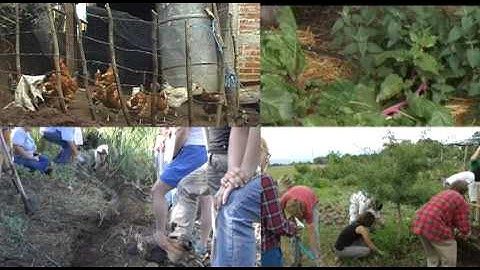 Permaculture Design Certificate from UCSM